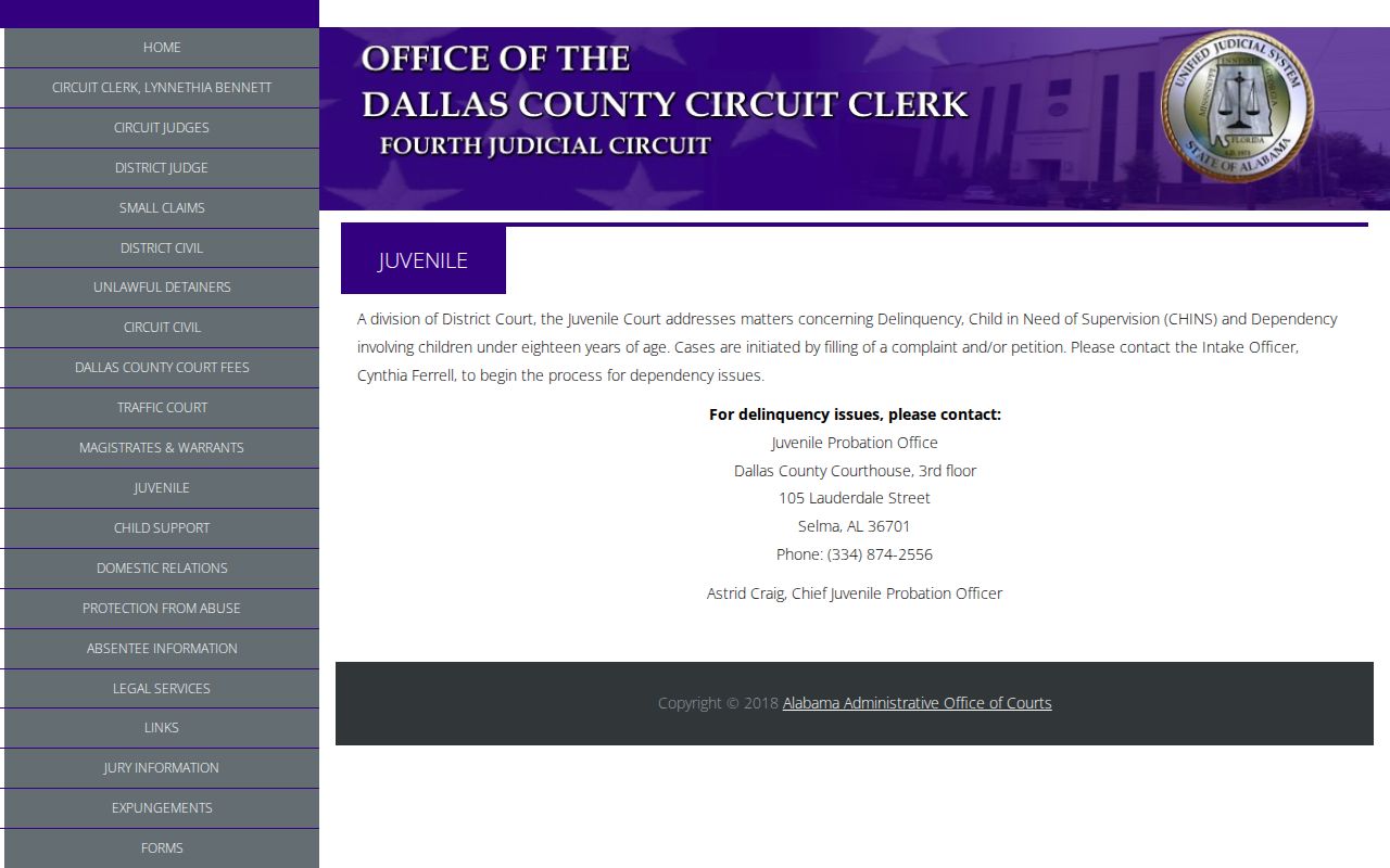 Dallas County criminal court records juvenile court page